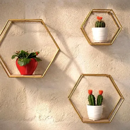 Aphrodeseum Romantic *
