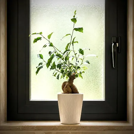 Aphrodeseum Romantic Отель типа 